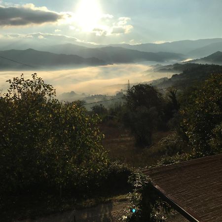 Il Mugello B&B Vicchio Kültér fotó