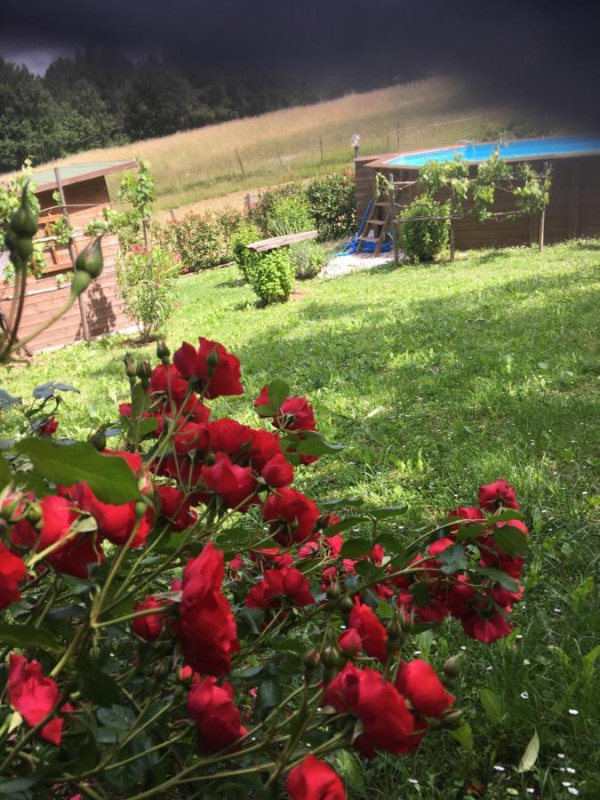 Il Mugello B&B Vicchio Kültér fotó