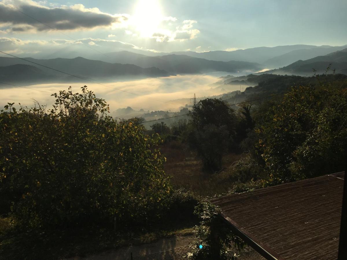 Il Mugello B&B Vicchio Kültér fotó
