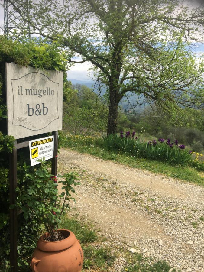 Il Mugello B&B Vicchio Kültér fotó