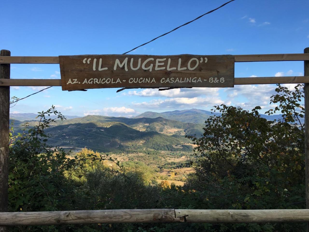 Il Mugello B&B Vicchio Kültér fotó