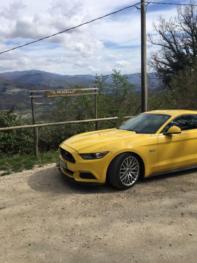 Il Mugello B&B Vicchio Kültér fotó