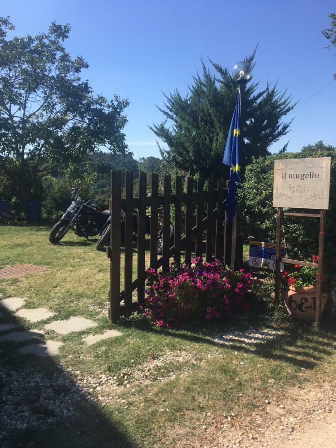 Il Mugello B&B Vicchio Kültér fotó